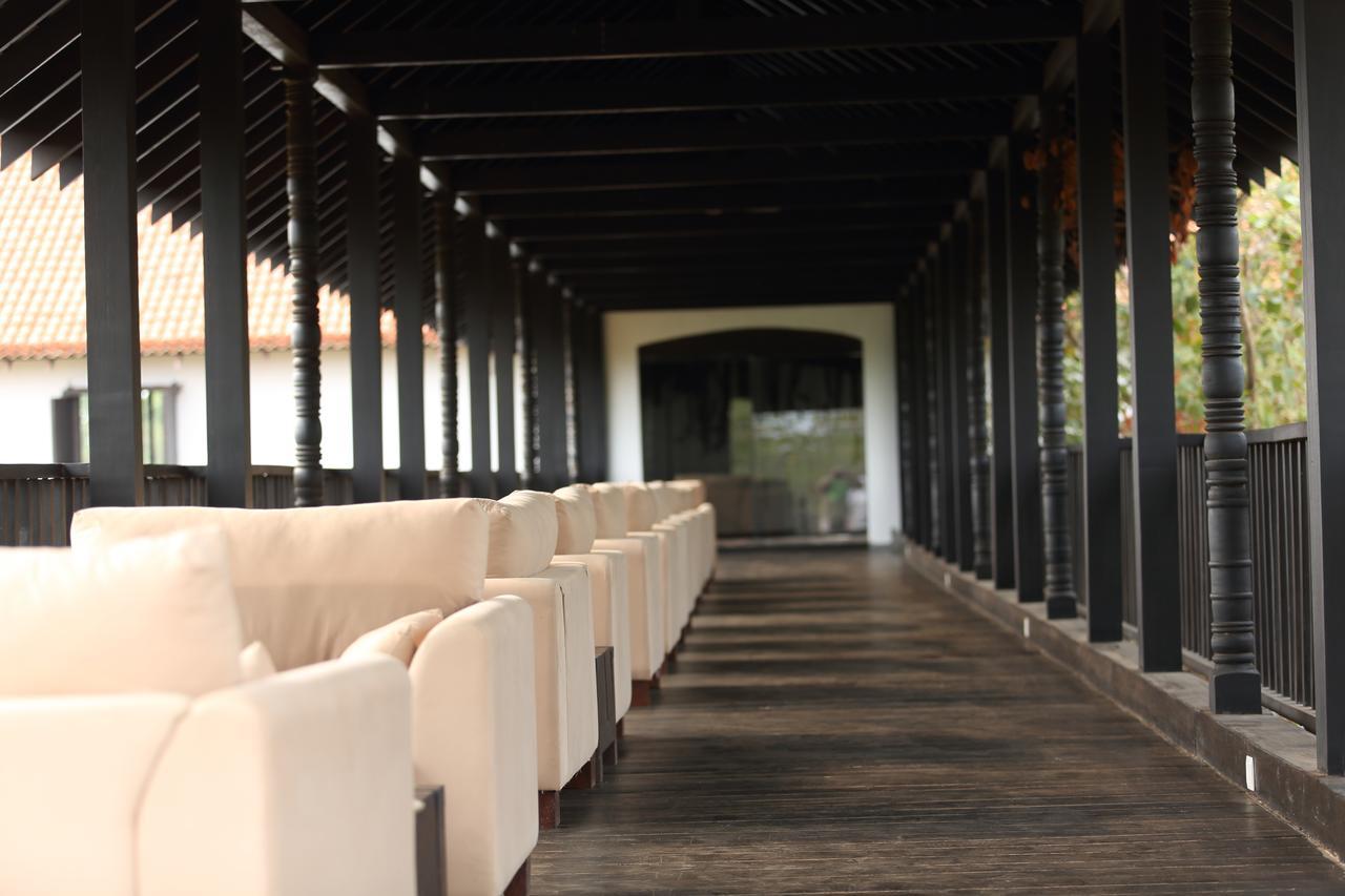 Sigiriyajungles Resort & Spa Zewnętrze zdjęcie
